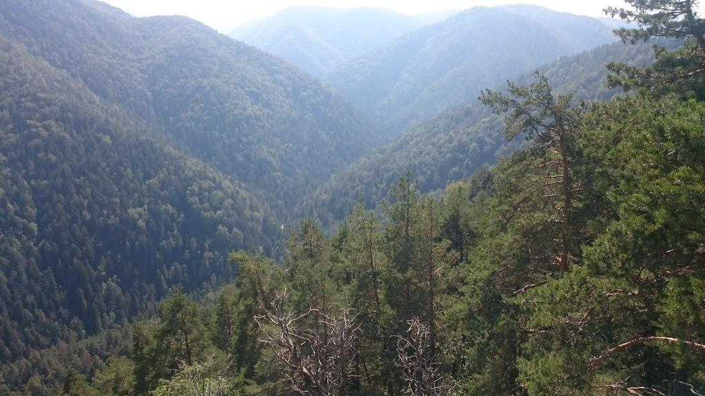 Štúdiá Pohoda Čingov Slovenský raj Spišské Tomášovce Exterior foto